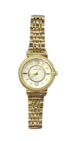 Elegant watch