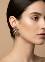 Dazzling earrings