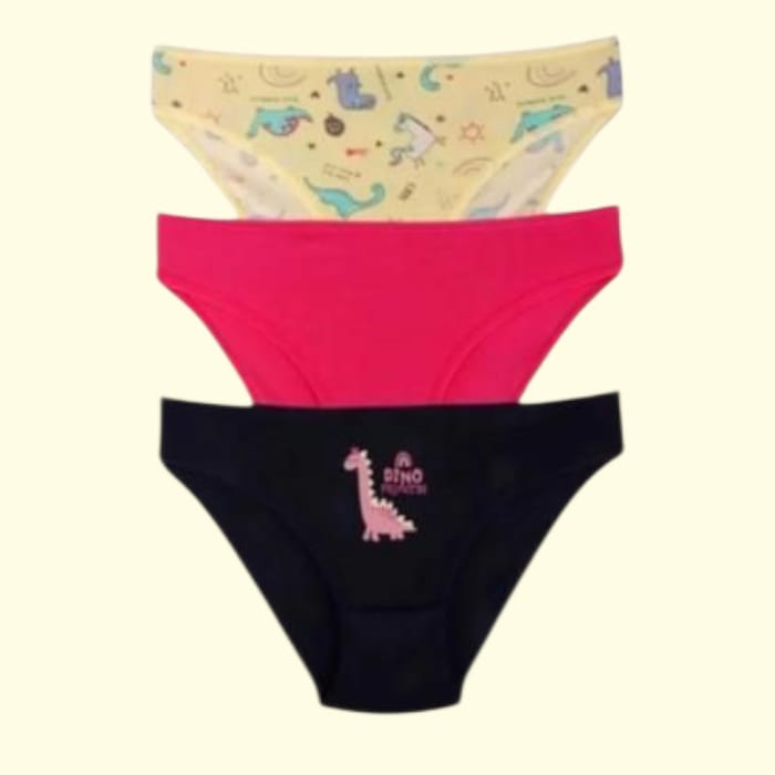 Dino Princess Underwear Set
