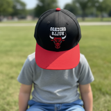 Chicago bulls cap