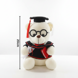 Graduation Teddy