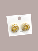 Elegant earrings