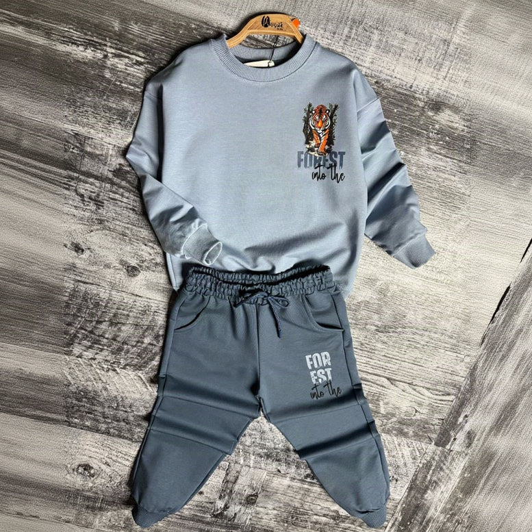 Light blue tiger sweatshirt and slate joggers on hangers