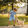 Boys light blue tee and shorts set worn in the park, Jack Gifts Online Lebanon