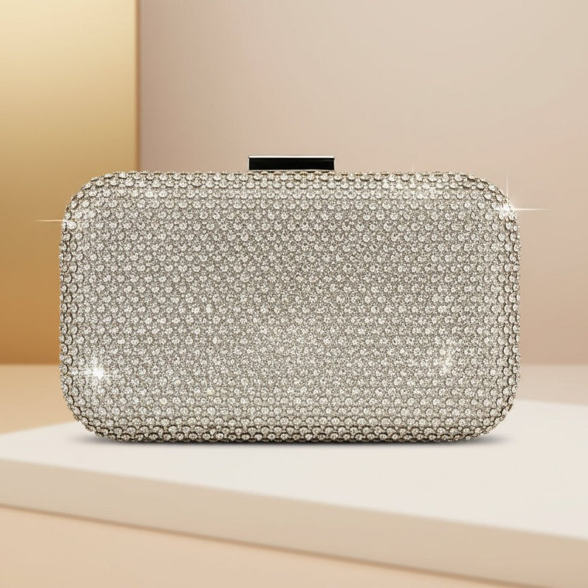 Elegant Evening Clutch