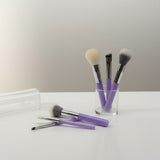 Beauty Brush Set