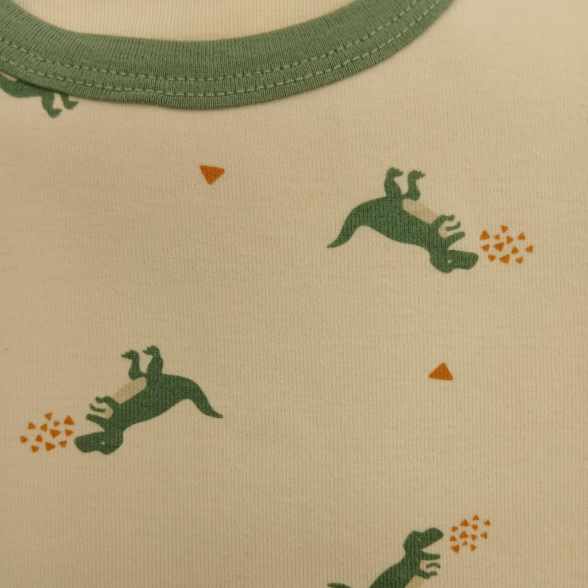 Dino PJ
