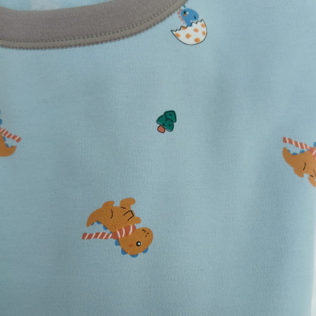 Blue Dino Print PJ