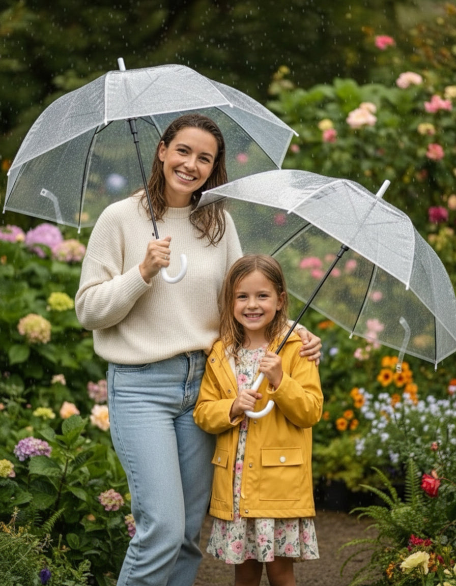 Transparent Umbrella