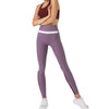 Tricolor SP15 Legging